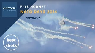 F-18 Hornet - NATO Days 2014 - Dny NATO