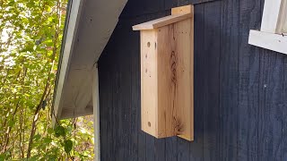How to Build A Roosting Box: Paul Meisel Design