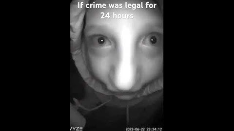 If the purge happened in real life