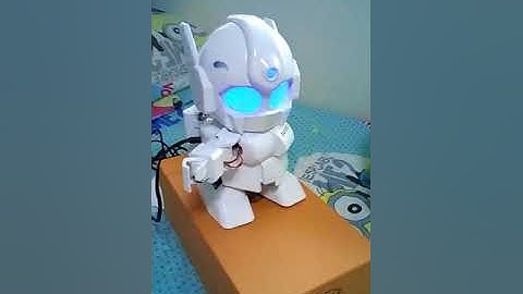 Rapiro Robot