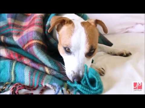 Video: 3 spôsoby, ako nosiť šál