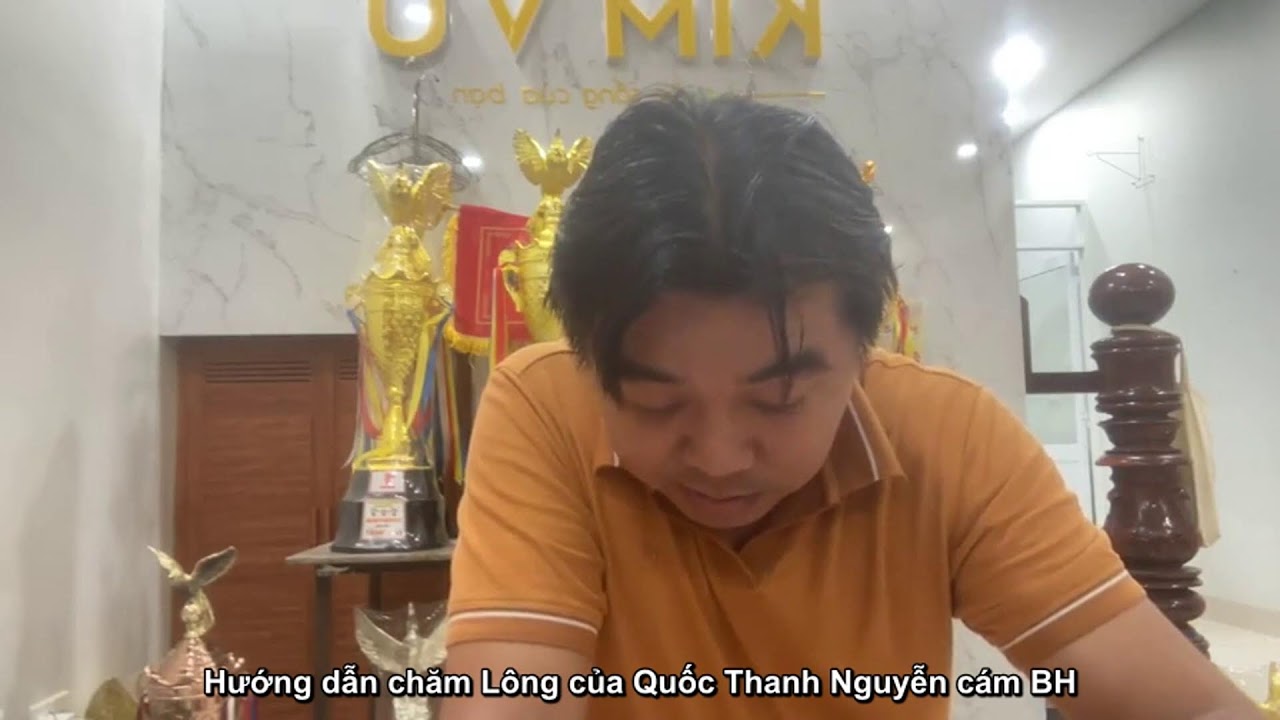 Quốc Thanh Nguyễn hướng dẫn Full chăm Chim/Chăm Lông cám BH