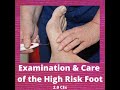[PREVIEW] Examination &amp; Care of the High Risk Foot - Continuing Education Course