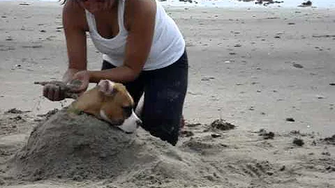 Vicki buries Easton