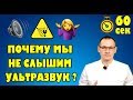 ПОЧЕМУ МЫ НЕ СЛЫШИМ УЛЬТРАЗВУК?  Тело человека за 60 секунд