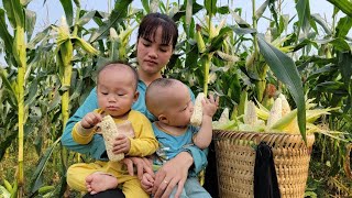 Warmth when mother and child are together - Harvesting corn to sell - Boiling corn to eat