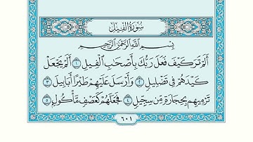 سورة الفيل كاملة بصوت سعد الغامدي