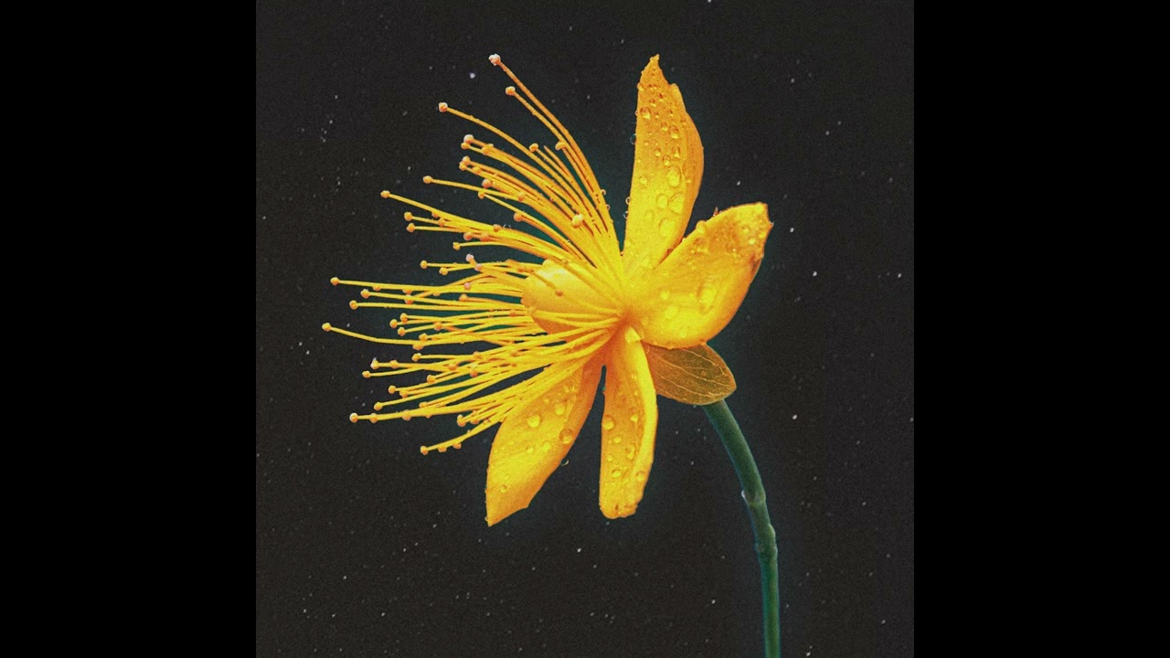 Voltaire - Tangerine Hill [AST003]