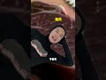 食物变质的信号👀 #脑洞大开 #我们的精选 #超能演剧情大赛 #内容过于真实 #抽象