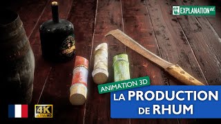 production de rhum - Animation 3D - Connaissances professionnelles