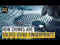 The Science Behind Unique Fingerprint Patterns