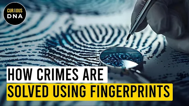 How Crimes are solved using Finger Prints | Finger Print Analysis | Forensic Science