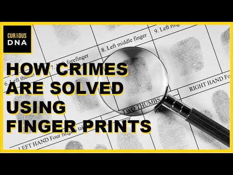 Video: Jaká je role DNA otisků prstů?