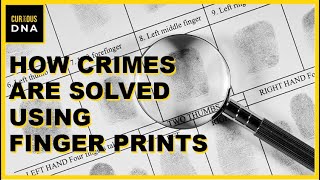 How Crimes are solved using Finger Prints | Finger Print Analysis | Forensic Science screenshot 5