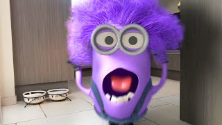Minions Animation in Real Life Amazing Video !!