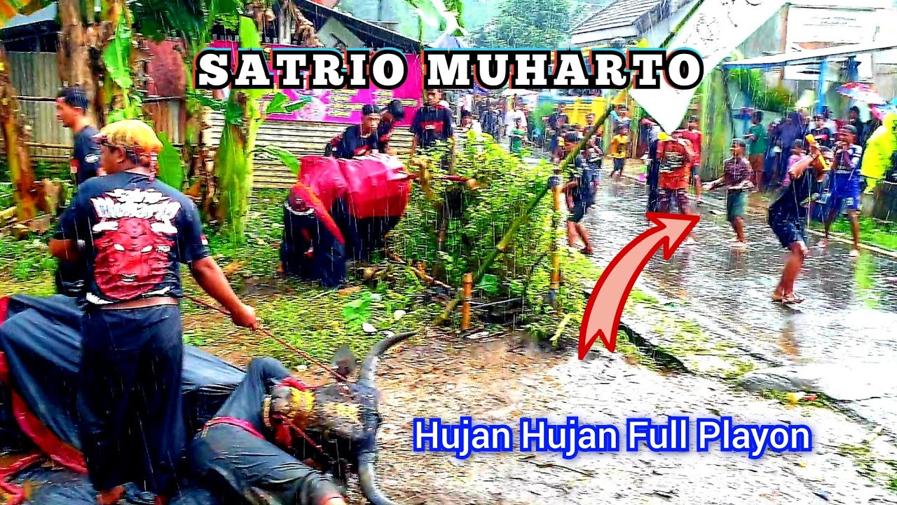 Mberot Full Playon Bareng Pasuk4n Trompet-Bantengan SATRIO MUHARTO Live Buring Gang 7 Kedungkandang