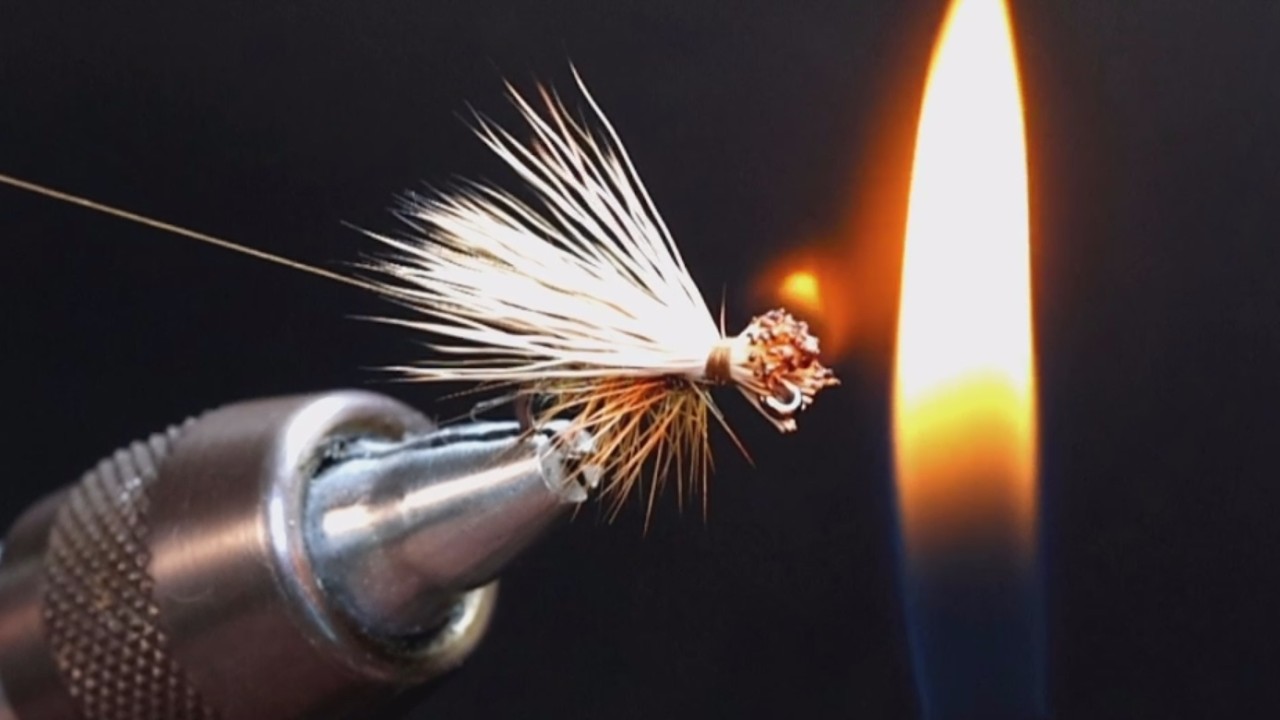 Old School; New Swagger; Elk Hair Caddis
