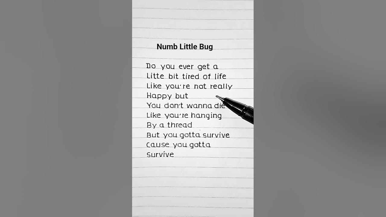 Em Beihold - Number Little Bug❤️ (Lyrics) #song #lyrics #trending