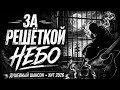 За решёткой небо Душевный Шансон до слёз Хит 2026 шансон музыкаонлайн русскийшансон новинка 