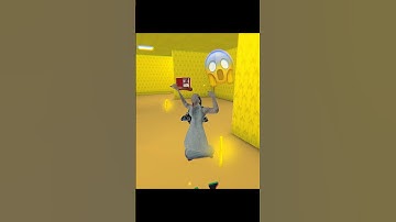 HIDE IN THE BACKROOMS / HIDE IN THE BACKROOM