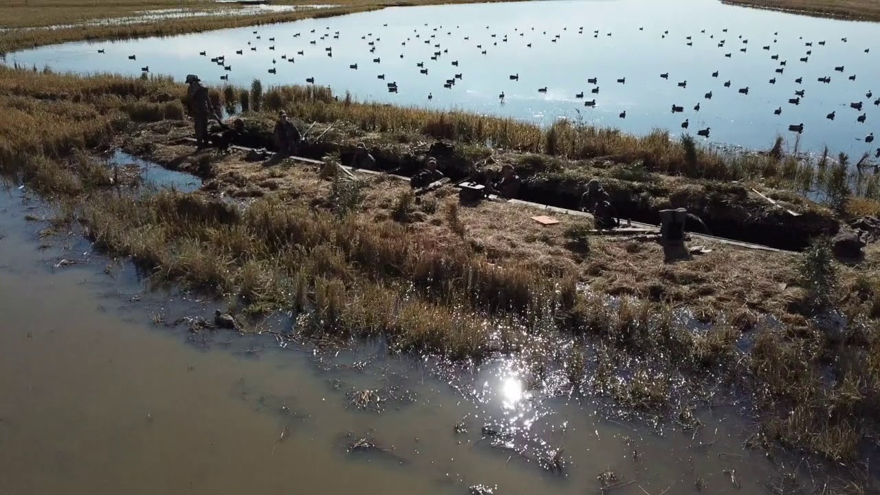 11-18-18 Popa Duck Lodge