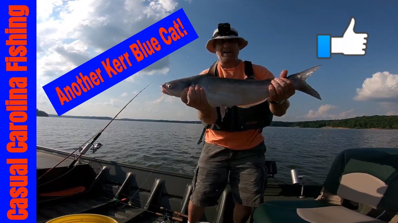 Kerr Lake Blue Catfish and almost broke the 1 catfish curse YouTube