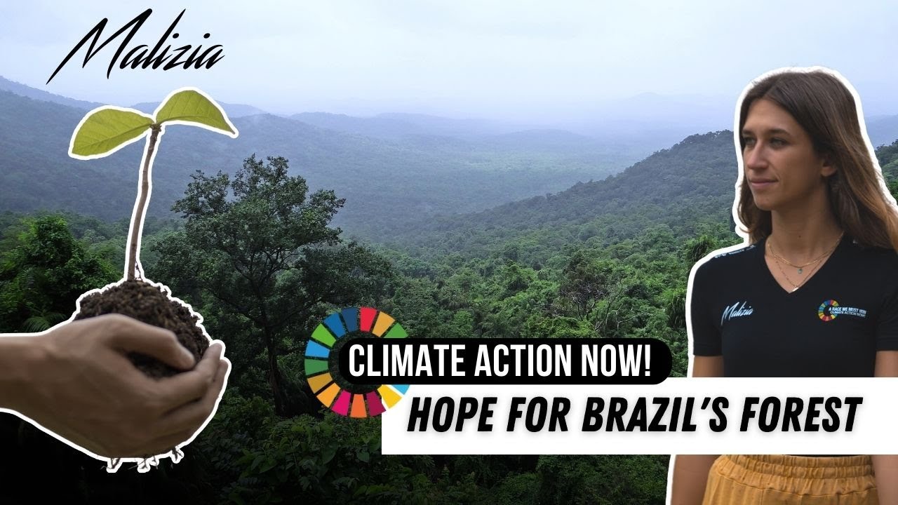 Hope For Brazil's Forest - Climate Action Now! - Team Malizia