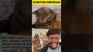  Dont Touch My Little Brother funny short
