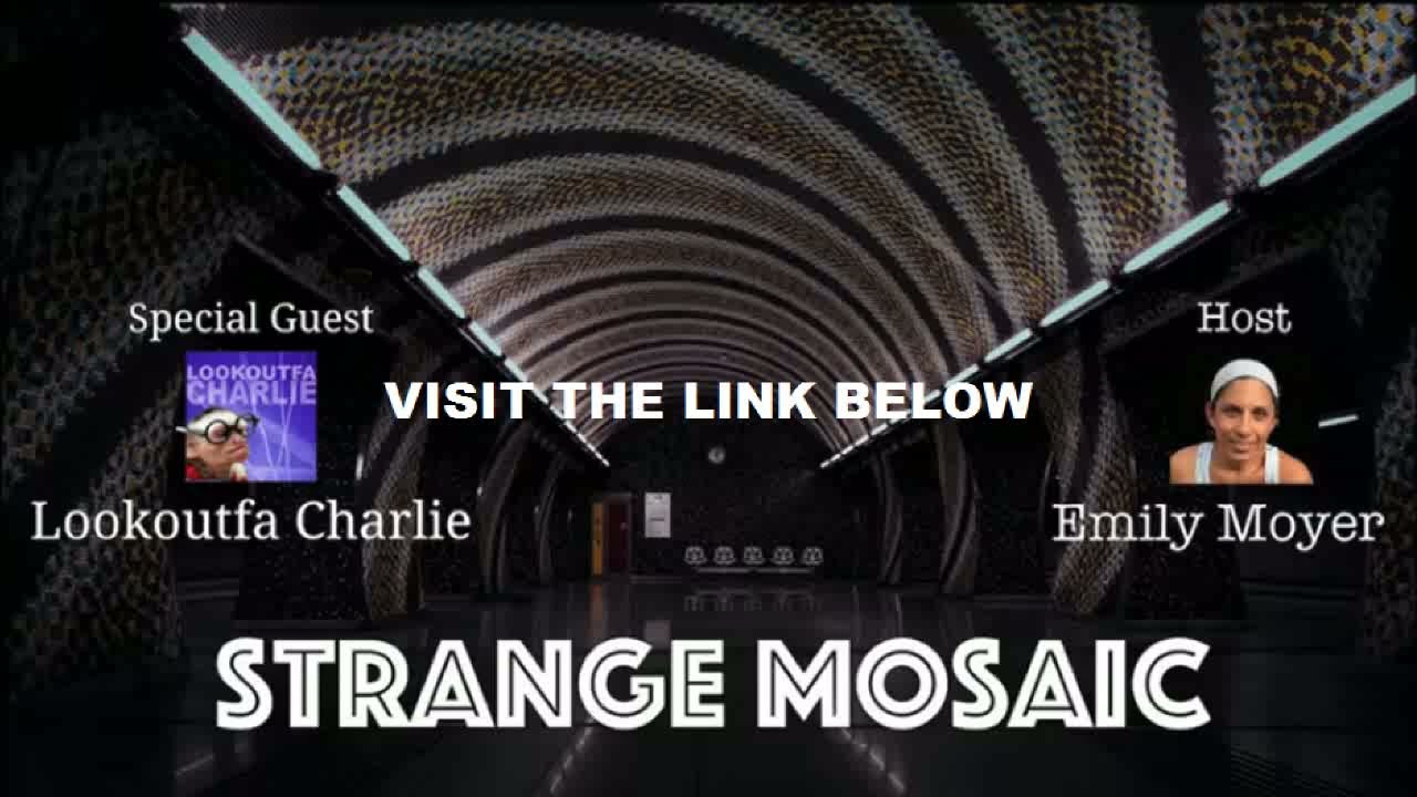LOOKOUTFA CHARLIE - LINK - INTERVIEW WITH EMILY MOYER - STRANGE MOSAIC