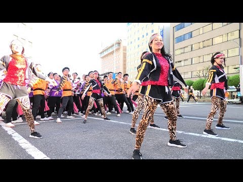 「嘉們－KAMON－」安濃津よさこい2019【津駅前】