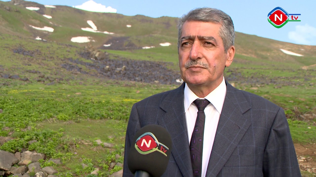 Naxçıvanın minillik tarixinə şahidlik edən Gəmiqaya abidəsi