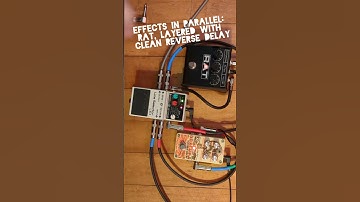 Rat distortion blended with reverse delay in parallel.  #fuzzrock #analogpedals #delaypedal