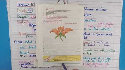 Reproduction in Plants -- Class 7 Science, Unit 3 -- Lecture 16,  | Ilm Ka Ghar |