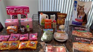 I Didn’t Step Foot in a Store 😅 Grocery Haul | Walmart + PetSmart Delivery #haul #groceryhaul