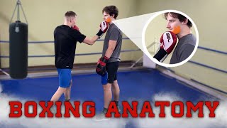 Weak Spots to Knock Out Your Opponents