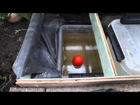 Video: Hvad er automatisk vanding?