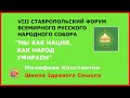 Мы как нация, как народ умираем. Малофеев Константин