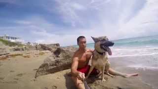 Gopro - A Day At The Beach With A German Shepherd