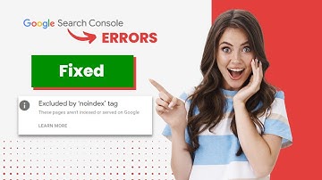 Excluded by ‘noindex’ tag Fixed. Search Console Error Fix | Easy Steps