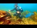 POLICE HELP People after Metal Detecting UNDERWATER with 3 SHARKS!!