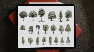 How to draw trees for Architects Procreate tutorial on iPad