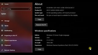 How to Install Windows 10 version 21H1 update