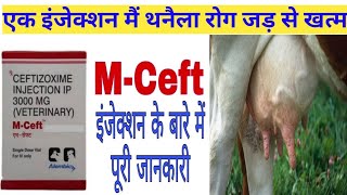 Thanaila rog ko khatam kerne wala injection | M-Ceft injection | Ceftizoxime 3000mg injection