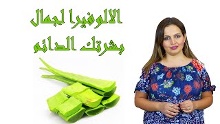 فوائد نبات الالوفيرا و تجربتي معها