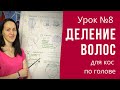 Урок №8 Деление волос для французских кос