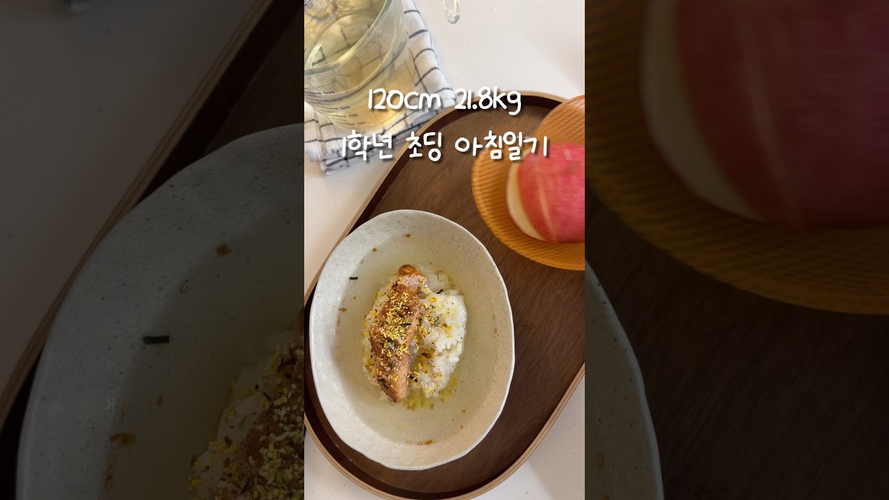 1학년 초딩 아침일기: 명란 오차즈케 — 콩시루 Kongsiroo 레시피 썸네일