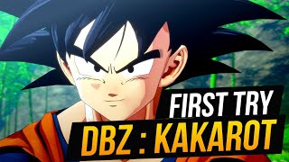 The Dragon Ball Z: Kakarot Experience