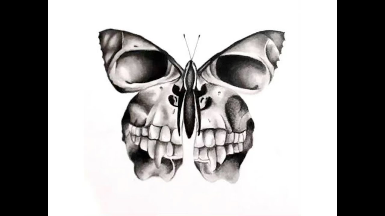 Скелет бабочки рисунок