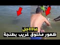 عاااجل ظهور مخلوق غريب في شاطئ مدينة طنجة أمام الناس وهم يسبحون شاهد ما حدث 