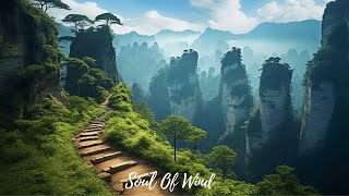 Escape to Nature: A 4K Video Journey with Serene Piano Melodies to Soothe Your Mind. by Soul Of Wind 39 views 2 weeks ago 3 hours